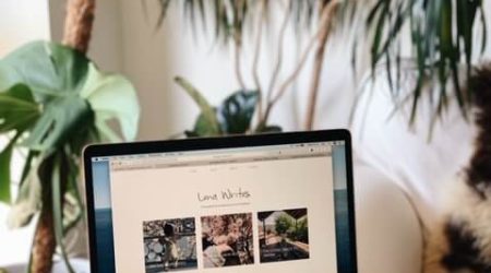 4-on-the-emergence-of-this-blog